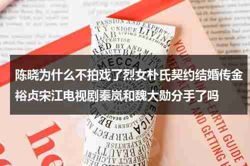 陈晓为什么不拍戏了烈女朴氏契约结婚传金裕贞宋江电视剧秦岚和魏大勋分手了吗（陈晓的戏为什么都不播）-第1张图片-九妖电影