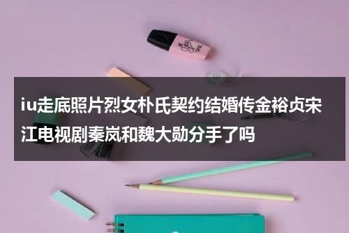 iu走底照片烈女朴氏契约结婚传金裕贞宋江电视剧秦岚和魏大勋分手了吗（iu和金秀贤主演合作的电视剧）-第1张图片-九妖电影