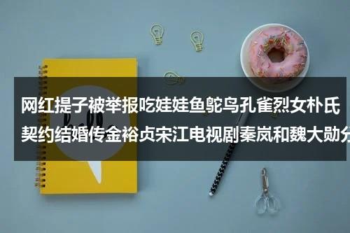 网红提子被举报吃娃娃鱼鸵鸟孔雀烈女朴氏契约结婚传金裕贞宋江电视剧秦岚和魏大勋分手了吗-第1张图片-九妖电影