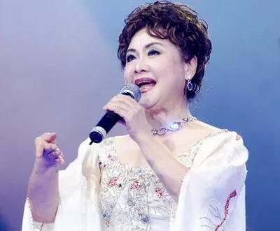司马南谈春晚黄绮珊《难忘今宵》：应该选和李谷一老师风格相近的-第5张图片-九妖电影