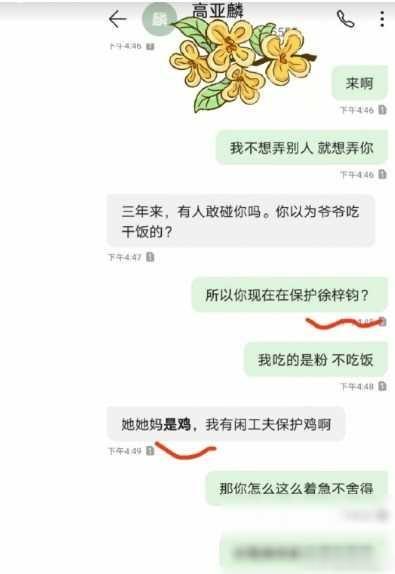 大瓜！高亚麟被妻曝光孕期出轨98女演员、家暴，聊天记录曝光-第11张图片-九妖电影