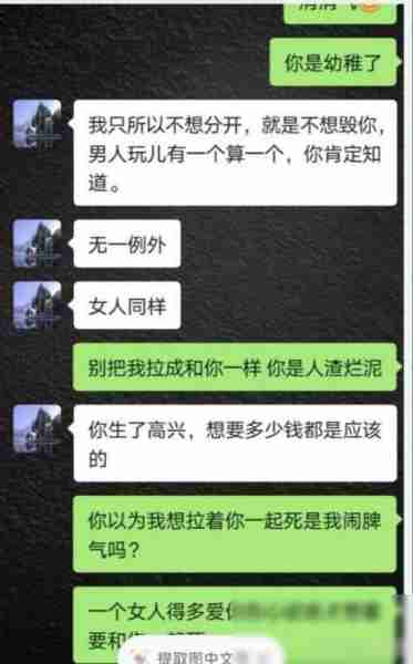 大瓜！高亚麟被妻曝光孕期出轨98女演员、家暴，聊天记录曝光-第15张图片-九妖电影