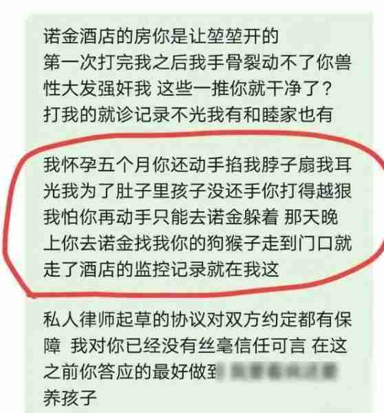 大瓜！高亚麟被妻曝光孕期出轨98女演员、家暴，聊天记录曝光-第21张图片-九妖电影