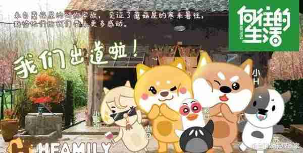 向往的生活小羊去世上热搜，有人却看不惯？粉丝：多学学爱和尊重-第1张图片-九妖电影