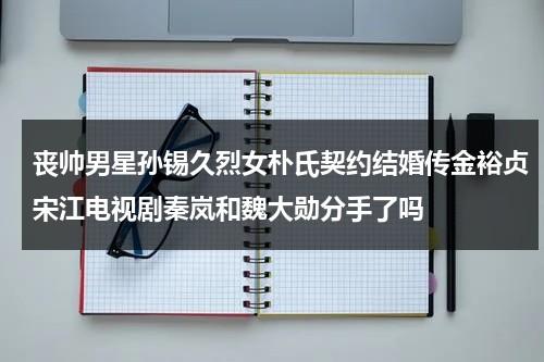 丧帅男星孙锡久烈女朴氏契约结婚传金裕贞宋江电视剧秦岚和魏大勋分手了吗-第1张图片-九妖电影
