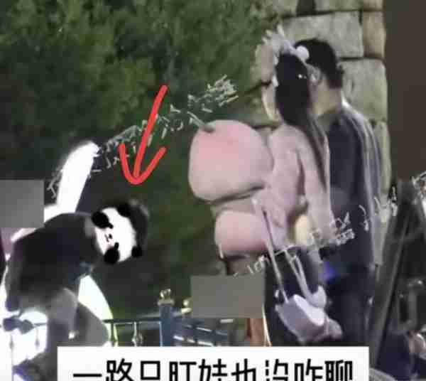 太炸裂！黄晓明杨颖合体逛迪士尼，两人情侣装打扮，7岁儿子抢眼-第3张图片-九妖电影