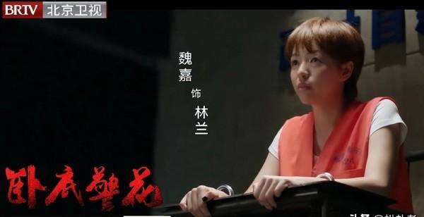 太讽刺，高亚麟出轨的女演员是公益大使，评论区骂声一片！-第11张图片-九妖电影