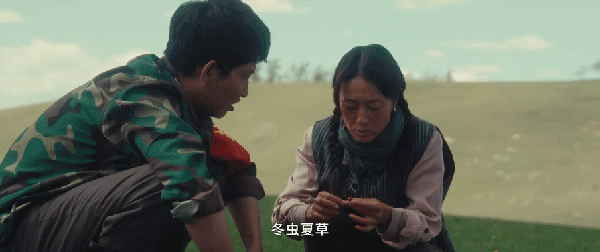 央一今晚首播!马伊琍形象太炸裂,我敢说,国产剧终于要变天了-第24张图片-九妖电影 央一今晚首播!马伊琍形象太炸裂,我敢说,国产剧终于要变天了-第24张图片-九妖电影