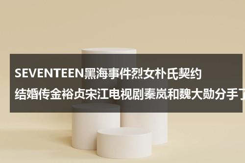 SEVENTEEN黑海事件烈女朴氏契约结婚传金裕贞宋江电视剧秦岚和魏大勋分手了吗-第1张图片-九妖电影