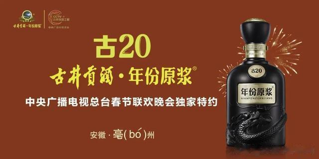 四台“春晚”齐贺岁，举杯共享“年三十”-第5张图片-九妖电影
