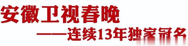 四台“春晚”齐贺岁，举杯共享“年三十”-第2张图片-九妖电影