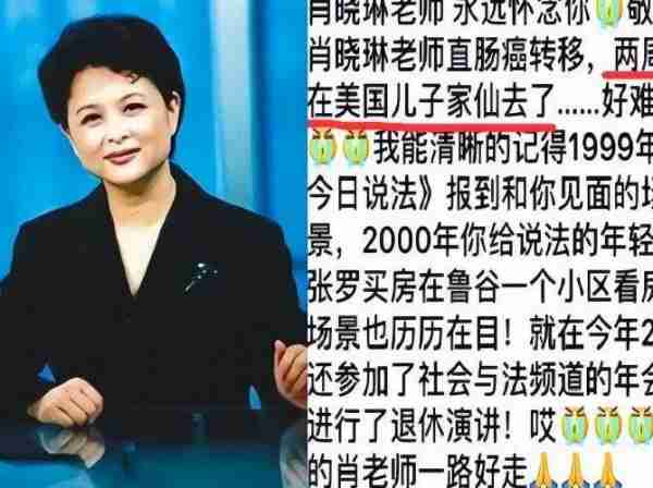 央视肖晓琳：退休5个月，在美国儿子家死去，临终26字遗言太深刻-第31张图片-九妖电影