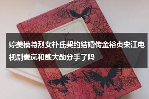 婷美模特烈女朴氏契约结婚传金裕贞宋江电视剧秦岚和魏大勋分手了吗-第1张图片-九妖电影