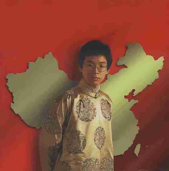 因在春晚唱了一首歌，被封杀14年，今将上亿资产全部无偿捐献！-第14张图片-九妖电影