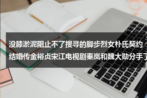 没膝淤泥阻止不了搜寻的脚步烈女朴氏契约结婚传金裕贞宋江电视剧秦岚和魏大勋分手了吗-第1张图片-九妖电影