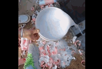 因风波而暂停录制的综艺：蓝台2档节目惹众怒，观众直呼不能忍-第17张图片-九妖电影