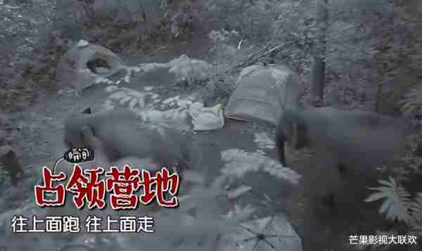 国家终于出手了！6个综艺节目被强制停播，没一个冤的！-第37张图片-九妖电影