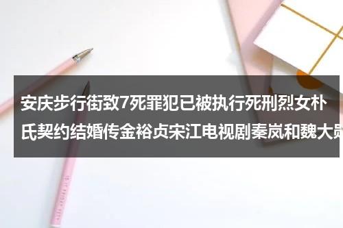 安庆步行街致7死罪犯已被执行死刑烈女朴氏契约结婚传金裕贞宋江电视剧秦岚和魏大勋分手了吗-第1张图片-九妖电影