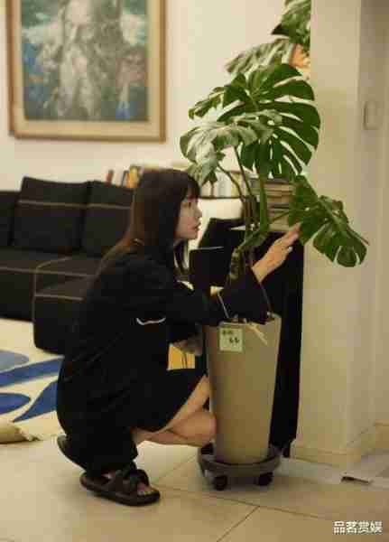 坎坷的王珞丹：40岁仍未婚，母亲上综艺节目里催婚，她恨嫁吗？-第15张图片-九妖电影