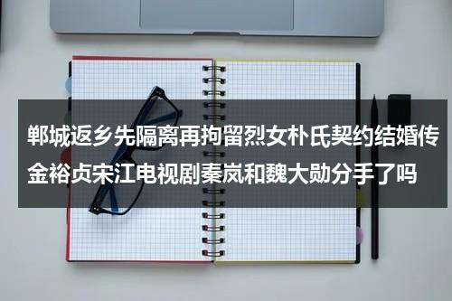 郸城返乡先隔离再拘留烈女朴氏契约结婚传金裕贞宋江电视剧秦岚和魏大勋分手了吗-第1张图片-九妖电影