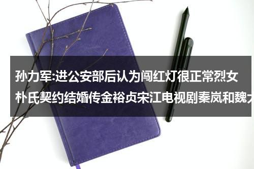 孙力军:进公安部后认为闯红灯很正常烈女朴氏契约结婚传金裕贞宋江电视剧秦岚和魏大勋分手了吗-第1张图片-九妖电影