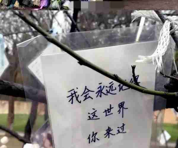 姚贝娜:刘亦菲发小,33岁去世,捐献眼角膜,生前为何拒绝做化疗-第11张图片-九妖电影 姚贝娜:刘亦菲发小,33岁去世,捐献眼角膜,生前为何拒绝做化疗-第11张图片-九妖电影