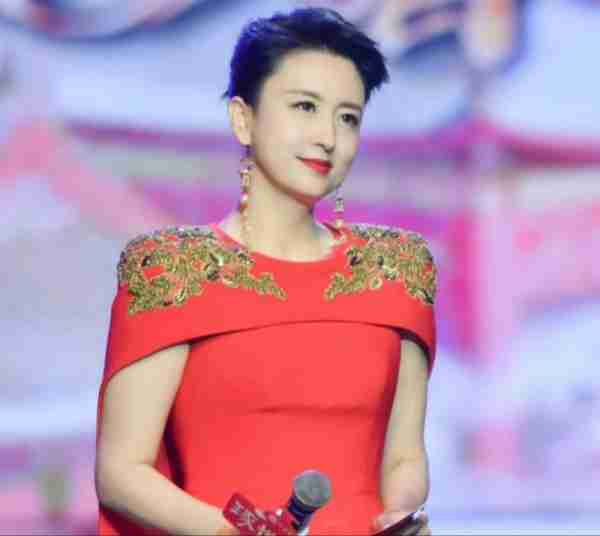 央视主持张蕾：扎根央视16年后离职，如今上家乡春晚再次证明实力-第5张图片-九妖电影