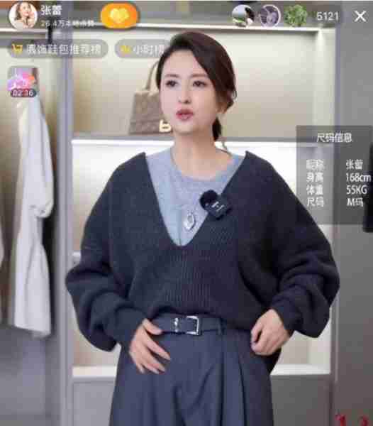 央视主持张蕾：扎根央视16年后离职，如今上家乡春晚再次证明实力-第8张图片-九妖电影