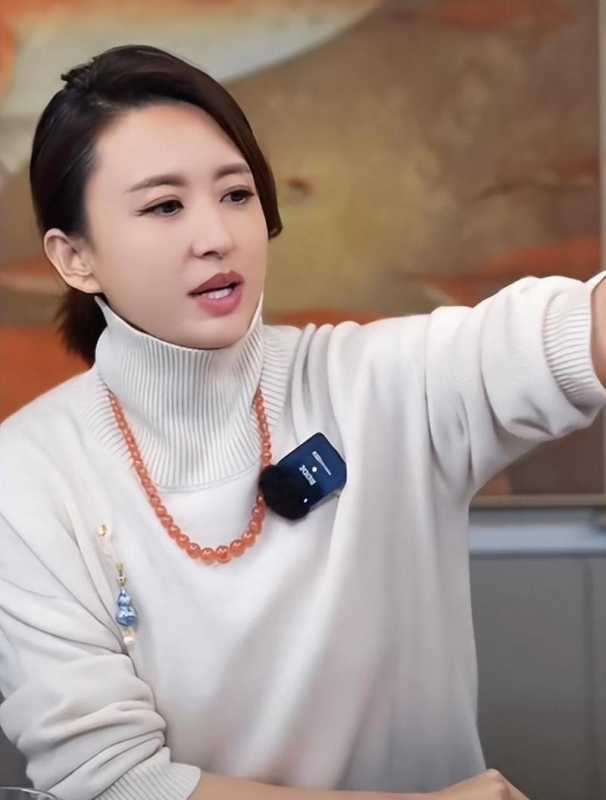 央视主持张蕾：扎根央视16年后离职，如今上家乡春晚再次证明实力-第9张图片-九妖电影