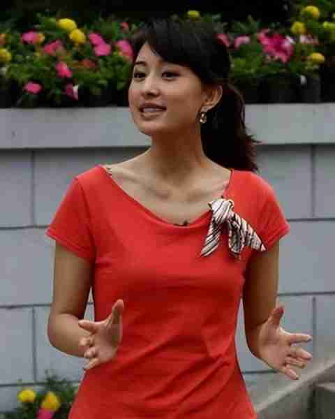央视主持张蕾：扎根央视16年后离职，如今上家乡春晚再次证明实力-第20张图片-九妖电影