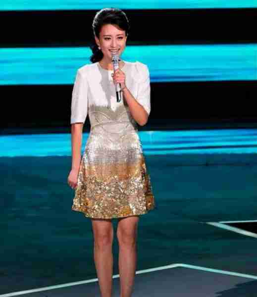 央视主持张蕾：扎根央视16年后离职，如今上家乡春晚再次证明实力-第19张图片-九妖电影