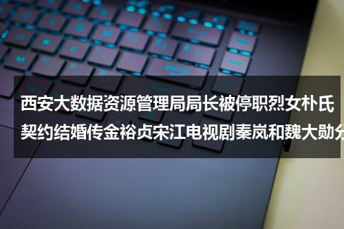 西安大数据资源管理局局长被停职烈女朴氏契约结婚传金裕贞宋江电视剧秦岚和魏大勋分手了吗-第1张图片-九妖电影