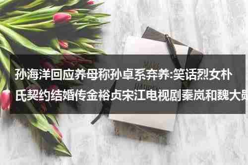 孙海洋回应养母称孙卓系弃养:笑话烈女朴氏契约结婚传金裕贞宋江电视剧秦岚和魏大勋分手了吗-第1张图片-九妖电影