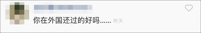 宁为祖国缴百万巨款，也要当中国人！这3位拒改国籍的艺人真霸气-第43张图片-九妖电影
