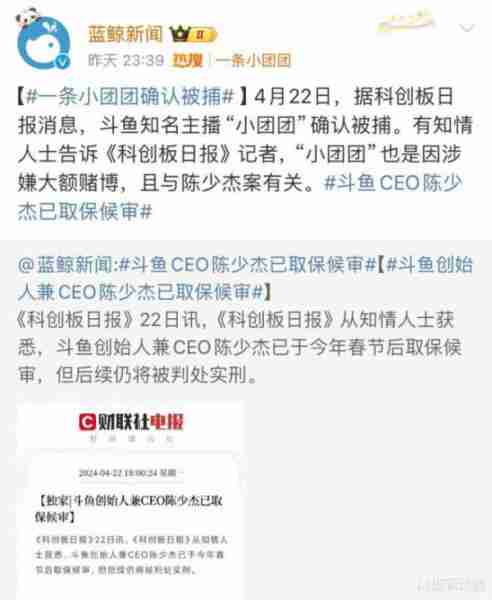 小团团确认被捕！PDD冲上热搜！斗鱼CEO陈少杰可能判刑5-7年-第2张图片-九妖电影
