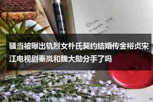 骚当被曝出轨烈女朴氏契约结婚传金裕贞宋江电视剧秦岚和魏大勋分手了吗-第1张图片-九妖电影