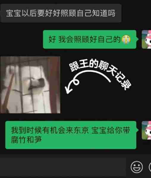 小羽官宣和王思聪分手，获网友心疼！聊天记录曝光王思聪真实心态-第9张图片-九妖电影