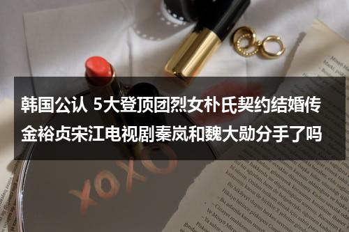 韩国公认 5大登顶团烈女朴氏契约结婚传金裕贞宋江电视剧秦岚和魏大勋分手了吗-第1张图片-九妖电影