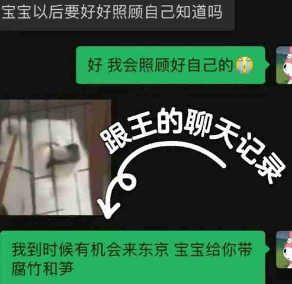 小羽官宣和王思聪分手，获网友心疼！聊天记录曝光王思聪真实心态_1-第7张图片-九妖电影