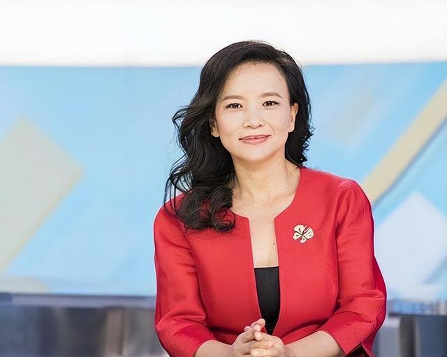 崇洋媚外、两面三刀,已被国家逮捕的6位主持人,看看你认识几个-第15张图片-九妖电影 崇洋媚外、两面三刀,已被国家逮捕的6位主持人,看看你认识几个-第15张图片-九妖电影