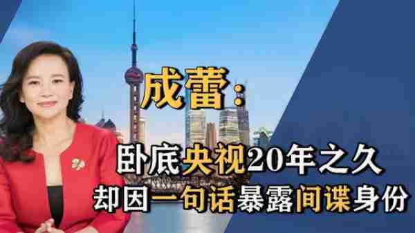 崇洋媚外、两面三刀,已被国家逮捕的6位主持人,看看你认识几个-第14张图片-九妖电影 崇洋媚外、两面三刀,已被国家逮捕的6位主持人,看看你认识几个-第14张图片-九妖电影