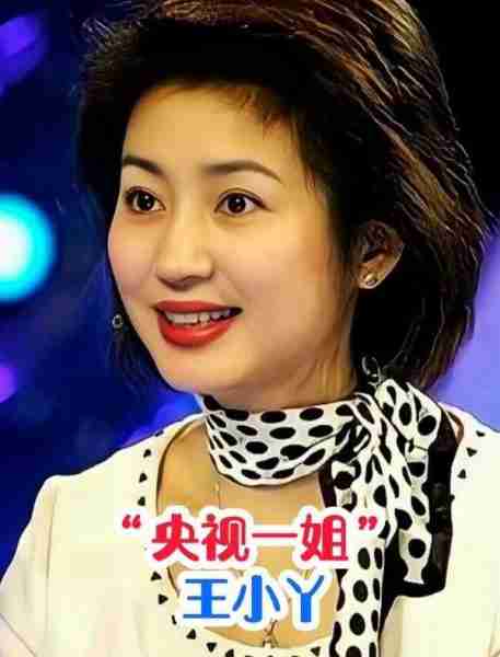 著名央视主持人王小丫：一路好好的！病床上21字留言催人泪下-第13张图片-九妖电影