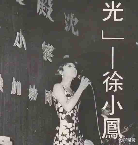 她宁愿离婚也不愿改变中国国籍，春晚为她破例，如今74岁仍单身-第9张图片-九妖电影