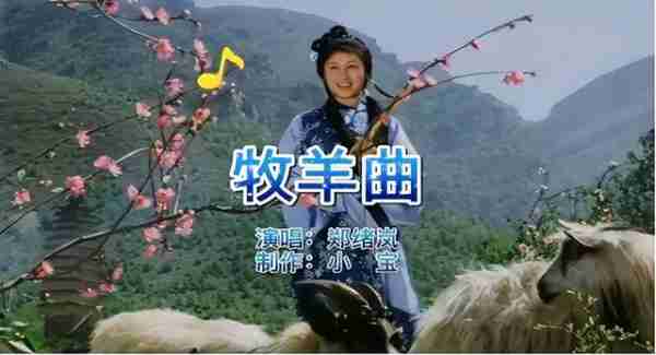她早就不是中国籍？却屡次登上春晚走红，当初嫁给洋老公遭嫌弃-第9张图片-九妖电影