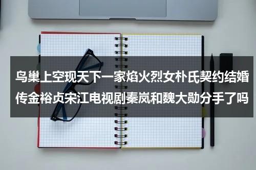 鸟巢上空现天下一家焰火烈女朴氏契约结婚传金裕贞宋江电视剧秦岚和魏大勋分手了吗-第1张图片-九妖电影