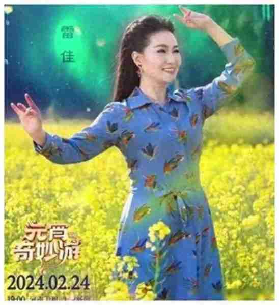 她是第一位博士级歌唱家，13次荣登春晚，丈夫身价不菲也是博士-第4张图片-九妖电影