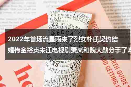 2022年首场流星雨来了烈女朴氏契约结婚传金裕贞宋江电视剧秦岚和魏大勋分手了吗-第1张图片-九妖电影