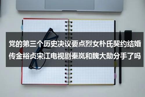 党的第三个历史决议要点烈女朴氏契约结婚传金裕贞宋江电视剧秦岚和魏大勋分手了吗-第1张图片-九妖电影