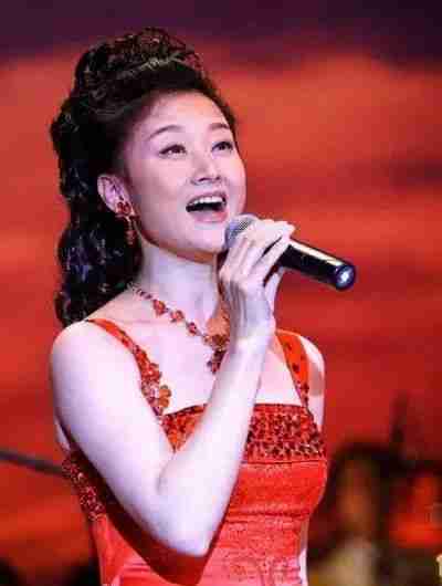 宋祖英的传奇人生：从辣妹子到春晚天后-第1张图片-九妖电影