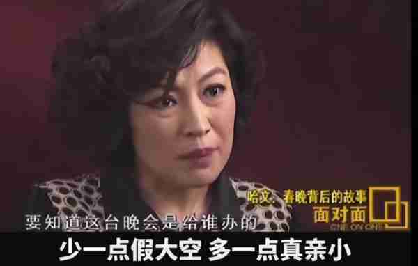 导演哈文：春晚要少一些假大空，多一些真亲小-第4张图片-九妖电影